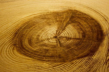 wood texture with a large bough and pattern of wood fibers, background.