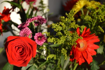 Rosa enfocada con fondo floral