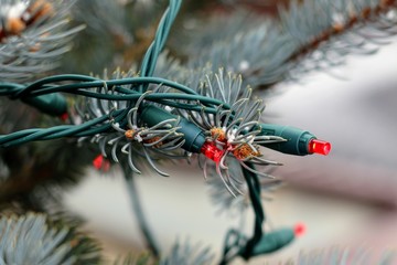 Naklejka na ściany i meble Pine Tree with Snow and Red Christmas Lights