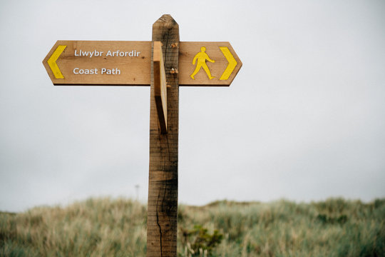 Directional wooden board on a hill