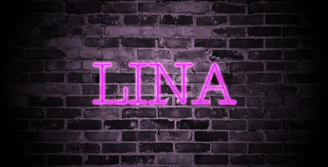 first name Lina in pink neon on brick wall © christopher-oliver