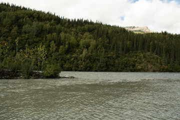 Nenana River in Denali National Park Alaska