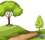 Road in forest landscape