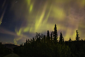 Aurora Borealis in Denali National Park Alaska
