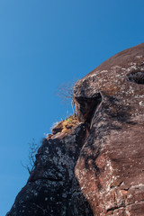 Rock likes Gorilla face. Rockmountain