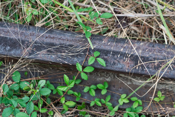 Obraz premium No Train Here Recently