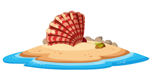 Isolated seashell on island