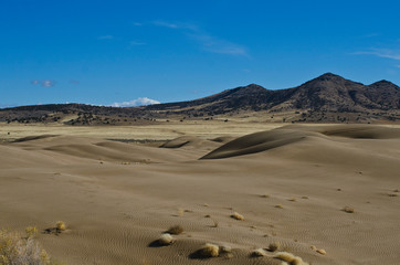 Fototapeta na wymiar The rolling sand dunes and the desert mountain landscape. 