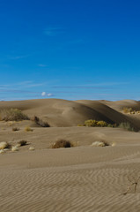 Fototapeta na wymiar The rolling sandy hills of the dunes in the basin area during autumn. 
