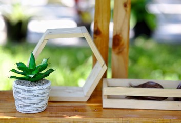 Cactus pot decorate with wooden pentagon in garden
