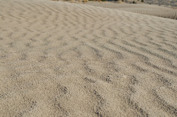 The wave texture on the sand dune floor. 