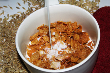 Corn flakes breakfas with milk.