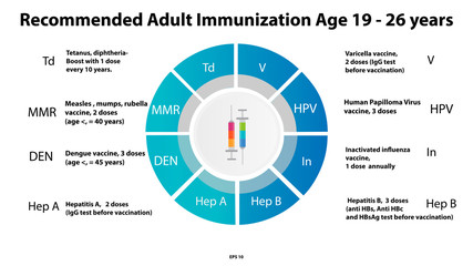 Vector infographic recommended adult vaccines 19 - 26 years