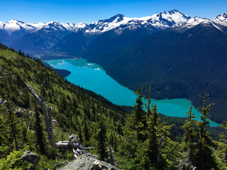 Beautiful mountains and Cheakamus Lake view from Whistler Mountain in the summer time