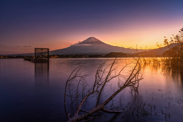 Mt. Fuji over Lake Kawaguchiko with dead tree at sunset in Fujikawaguchiko, Japan.