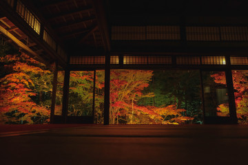 天授庵　紅葉　ライトアップ