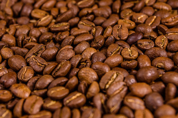 Naklejka premium Background of many roasted coffee beans. Selective focus