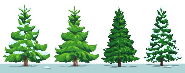 Christmas tree, green fir, pine, spruce with snow