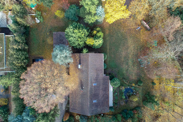 Vertical aerial view of a detached house with a plot of land with trees, lawn and a small pond