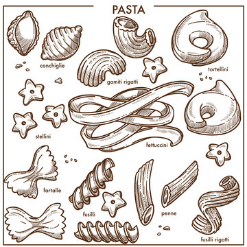 Conchiglie in form of seashell, tasty tortellini, gamiti rigatti, star-shaped stellini