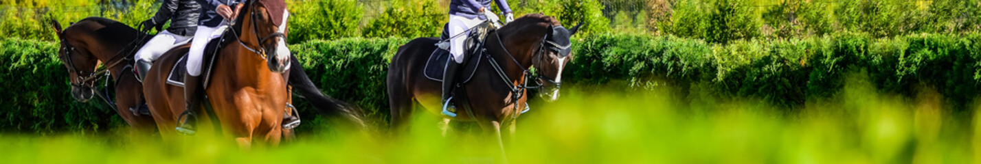 Riders on horses in jumping show, equestrian sports. Light-brown horses and girls in uniform going to jump. Horizontal banner for website header design. Copy space for your text.