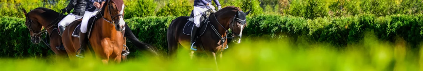 Printed roller blinds Horse riding Riders on horses in jumping show, equestrian sports. Light-brown horses and girls in uniform going to jump. Horizontal banner for website header design. Copy space for your text.