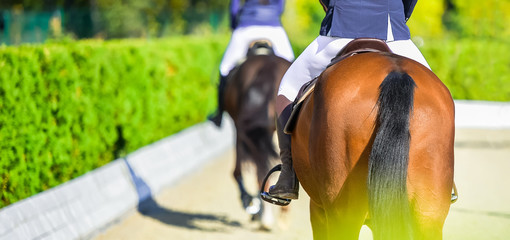 Beautiful girls on horses in jumping show, equestrian sports. Light-brown horses and girla in uniform going to jump. Hot, shiny day. 