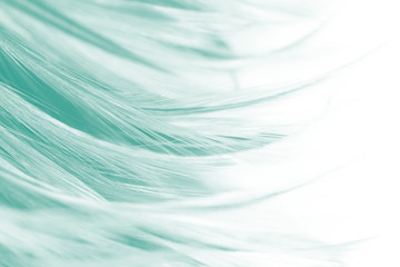 green vintage color trends feather texture background 