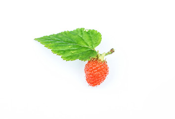 Spring wild fruit raspberry