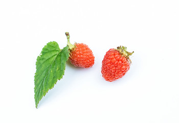 Spring wild fruit raspberry