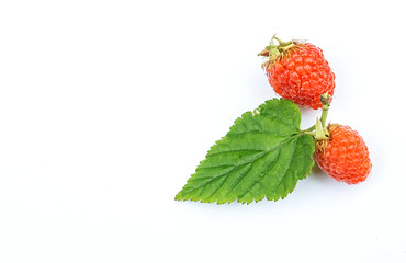 Spring wild fruit raspberry