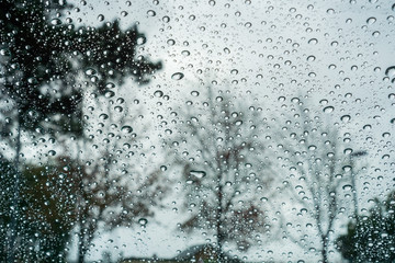 Drops of rain on the window; blurred trees in the background