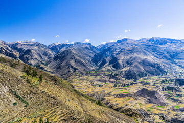 The slopes of the Andes