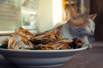 Sleeping cat watch deep Fried Fish Head. Selective focus on the