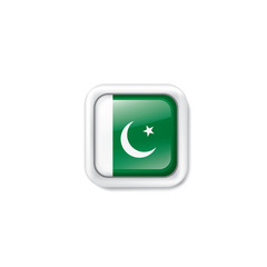 Pakistan flag, vector illustration on a white background