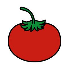 fresh tomato vegetable icon