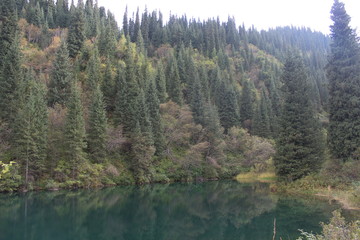 Kazakhstan, Kaiyndy lake, water, lake, nature, landscape, river, reflection, pond, sky, tree, trees, green, grass, forest, blue, summer, mountain, park, spring, autumn, plant