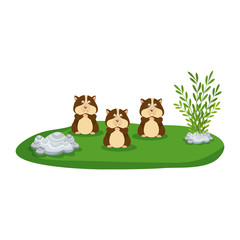 cute family hamsters in the park