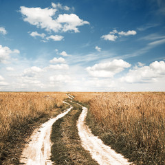 road in the fields