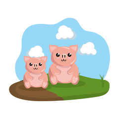 cute family pigs in the camp