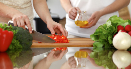 Closeup of human hands cooking in kitchen. Mother and daughter or two female friends cutting vegetables for fresh salad. Friendship, family dinner and lifestyle concepts