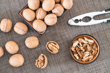 Low Angle Photography of Walnut Walnut Kernel Walnut Clamp