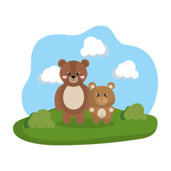 cute bears couple in the camp