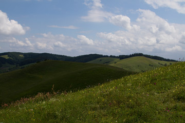Obraz premium Kaiserstuhl im Sommer