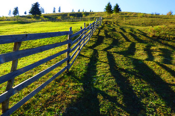 Long wooden fence and its shadows in green grass