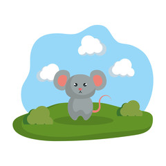 cute elephant in the camp