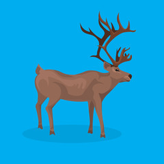 deer cartoon animal reindeer flat blue background christmas greeting card vector illustration