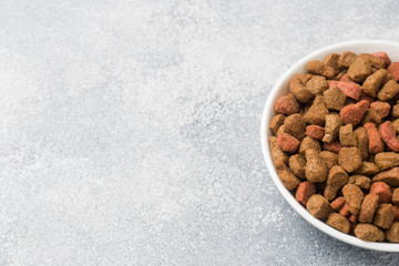 Dry cat food in a ceramic plate. Copy space