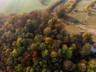 Herbstwald bei Sonnenaufgang - Luftaufnahme