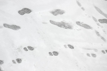 Background of the footprints of shoe soles on snow